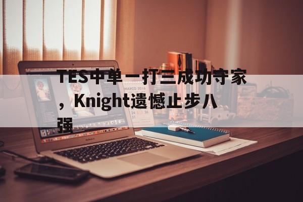 TES中单一打三成功守家,Knight遗憾止步八强-平博官网