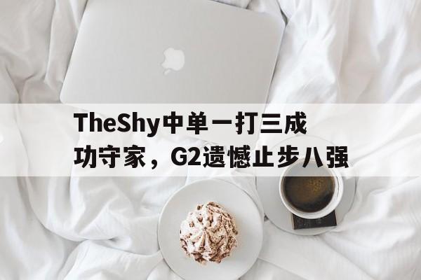 TheShy中单一打三成功守家，G2遗憾止步八强-平博登录